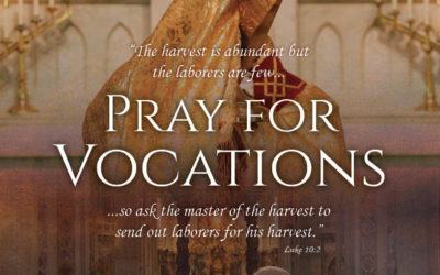 Pray for Vocations Poster (bilingual)
